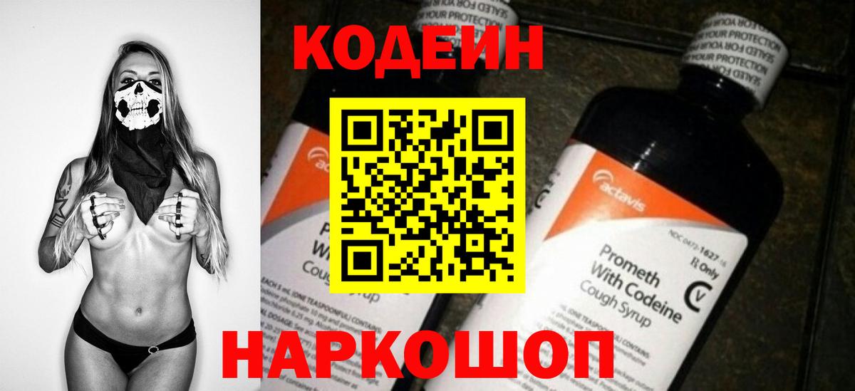 Камышлов  продажа наркотиков  Вход с VPN  Кодеин напиток Lean (лин) 