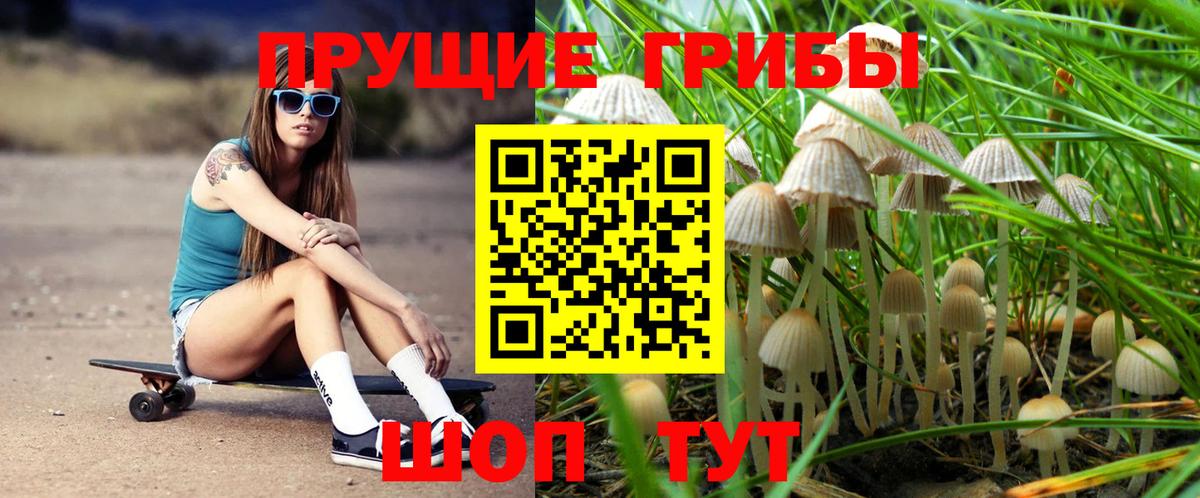 Псилоцибиновые грибы прущие грибы Камышлов